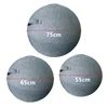 Yoga Ball Cover Pilates Sitting Ball Dustproof Protector Slipcover Yoga Ball Protective Cover Gym Workout Balance Ball Cover 6