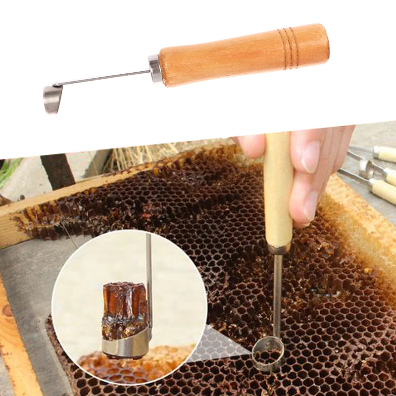 1PcBeekeepingDeviceBeehiveCleaningScraperFunctionalHoneyRemover