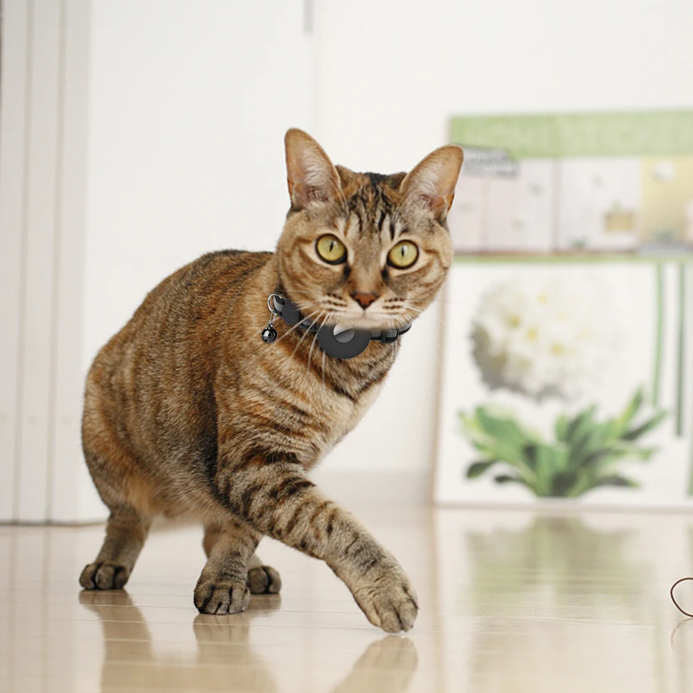 Portable Pet Locator Collar Lightweight Fashion Collar with Gps Nylon Locator Collar for Cat Inteligent for Outdoor Pet Supplies