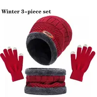 2pcs+1 pair Winter Warm Velvet Hat Scarf Gloves Set Winter Hats Knit Cap Men And Women Velvet Hat Coral Fleece Scarf Outdoor Rid 4