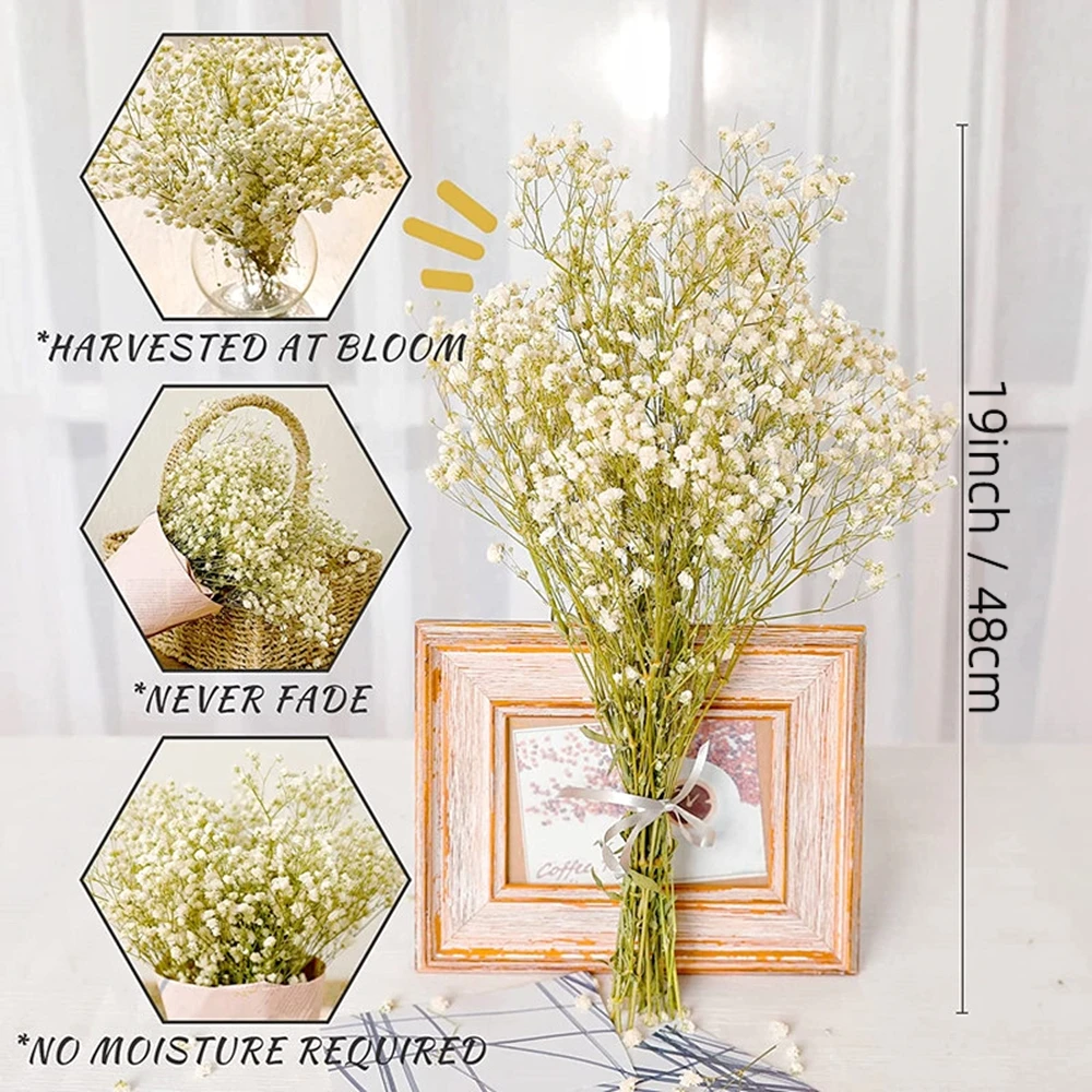 Dried flower bouquets 40-50cm Natural Fresh Dried Flowers Gypsophila paniculata Baby's Breath Flower bouquets gift & Wedding Decoration Home Decor