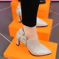 Fashion Plus Size 43 High Heels Women Comfort Pointed Black Women's Shoes Retro Slide Zipper Pumps Zapatos De Mujer 2