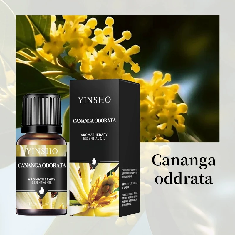 Aromatherapy Essential Oils - Lavender, Rose, Lemon, and Mint Blend (10ml)