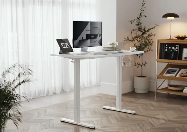 Electric Standing Desk 120x60 cm, Height Adjustable Desk with Cable Management, with Memory Function