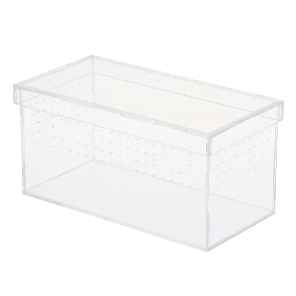 Plastic Reptile Vivarium Terrarium Easy to Observe with Reptile Terrarium Accessories for Small Animal Care