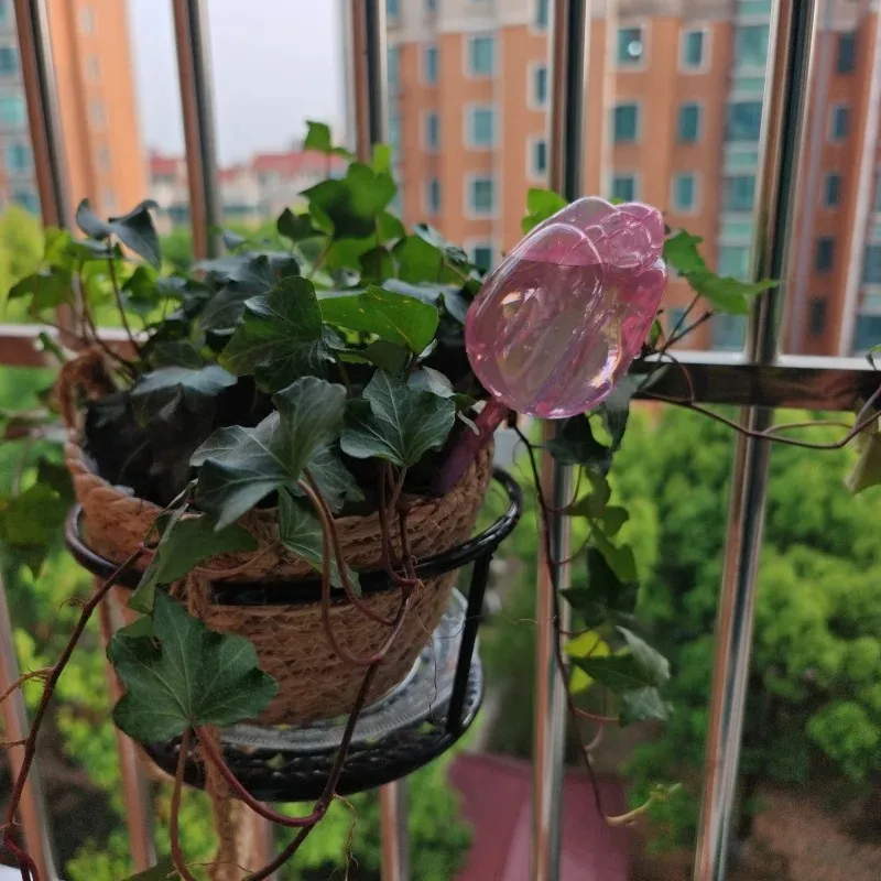 Tulip Self-Watering Plant Globes 5