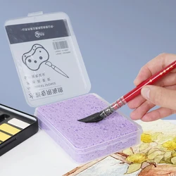 Watercolor Painting Sponge Boxed Special Water Chalk Sponge Strong Water Absorption Cleaning Tool Art Supplies for Kids Students