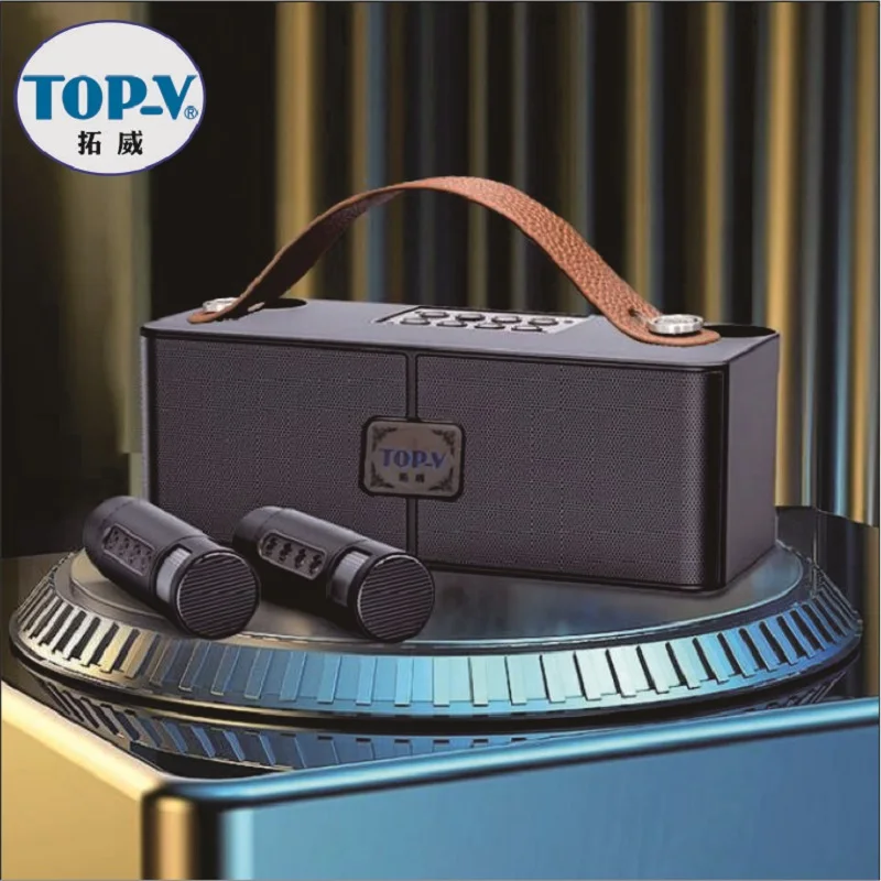 Portable karaoke Bluetooth audio with two microphones