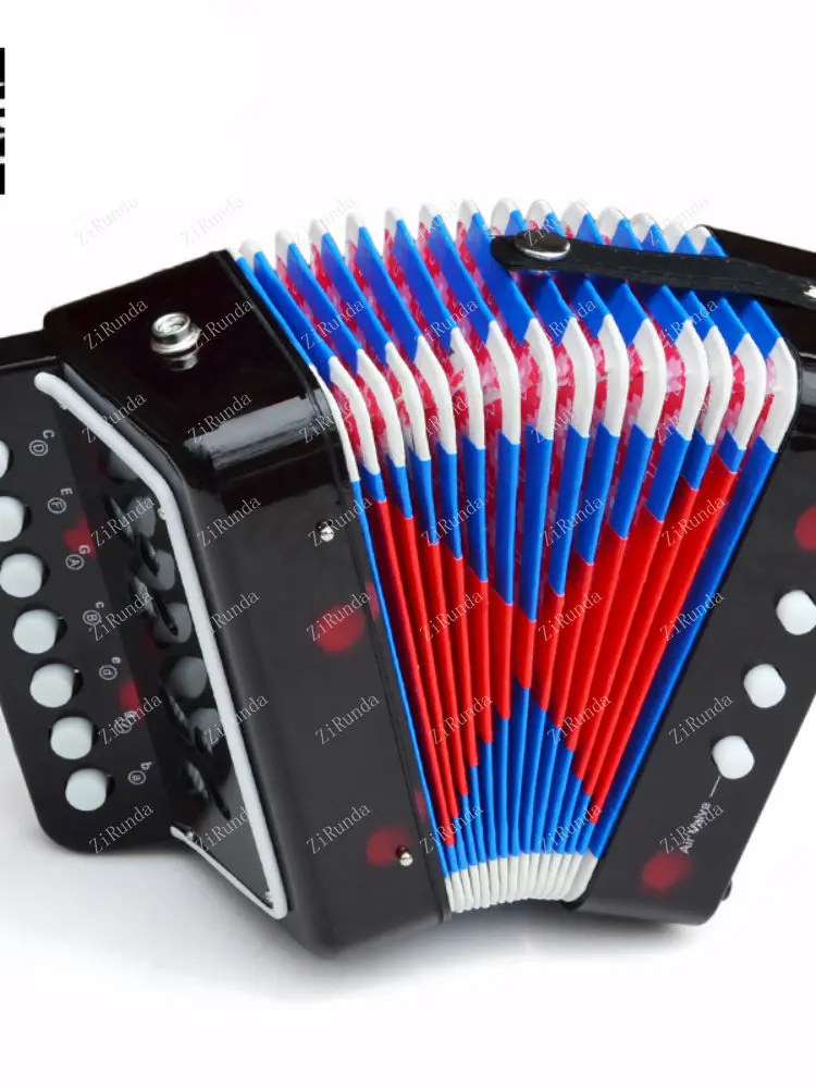 Insten Toy Accordion with Instruction Book, Musical Instruments for Kids,  Baby & Toddlers, Blue