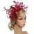Women Ladies Fascinator Headband with a Clip，Reversible Feather Kentucky Derby Cocktail Tea Party Hat Headwear 16