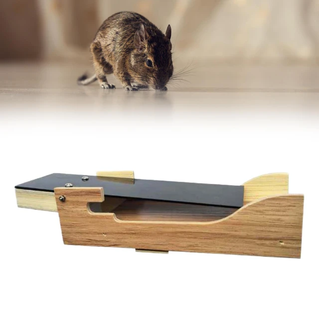 Mouse Traps Mice Traps for House Indoor No Kill Live Catch Mouse