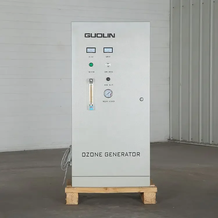 20g/h Ozone Generator Drinking Water Ozone Generator Bottle Water Ozone Generator 6