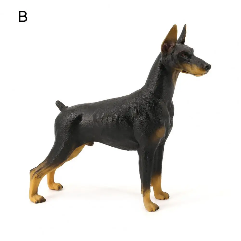 https://ae01.alicdn.com/kf/S8dc6544d84e3453c9627c8d501584cc7d/Simulation-Doberman-Animals-Model-Figurines-Toy-Cognitive-Ability-Practical-Action-Figure-Toy-Doberman-Pinscher-Ornaments-Gift.jpg