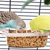 Parrot Feeder Drinker Bird Supplies Bird Cage Parrot Birds Water Hanging Bowl Feeder Box Pet Cage Plastic Food Container 3