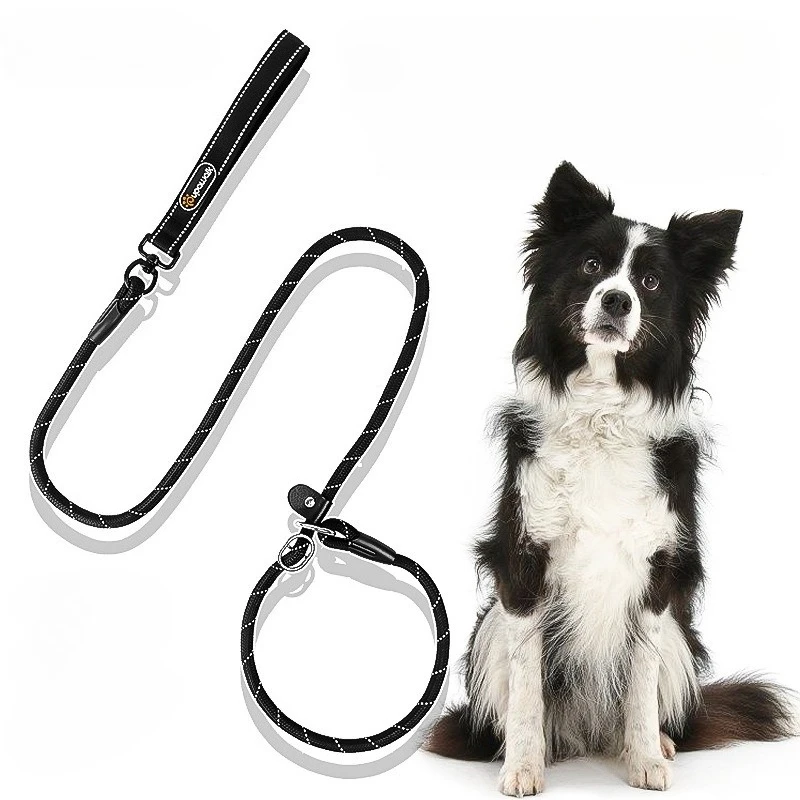150cm 2 in 1 P-Shaped Chain Slip Lead Control Training Choking Dog Walking Leash Dog Accessories for Small Large Dogs 2