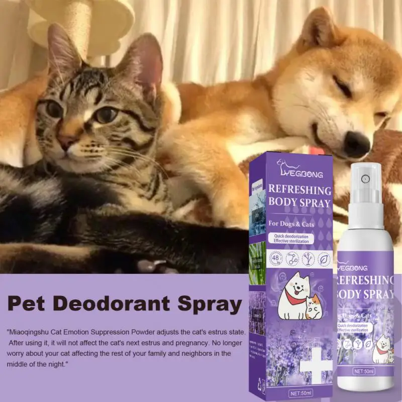 Reusable Dog Cat Urine Smell Long lasting Natural Plant Formula Air