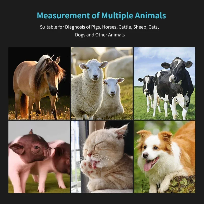 Portable Veterinary Ultrasound Scanner for Dog Cat Cattle Cow Pig Horse Ultrasound Pregnancy Testing Machine Color 4