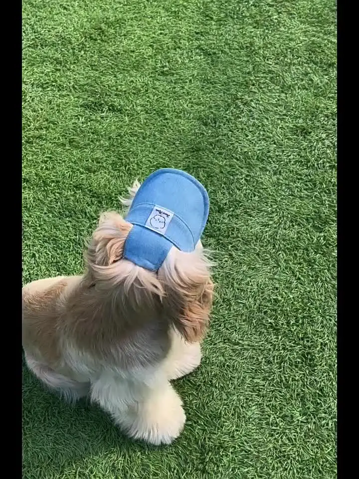 Big Savings! Funny Dog Hat With Ear Holes, Pet Outdoor Sports Hat, Cute