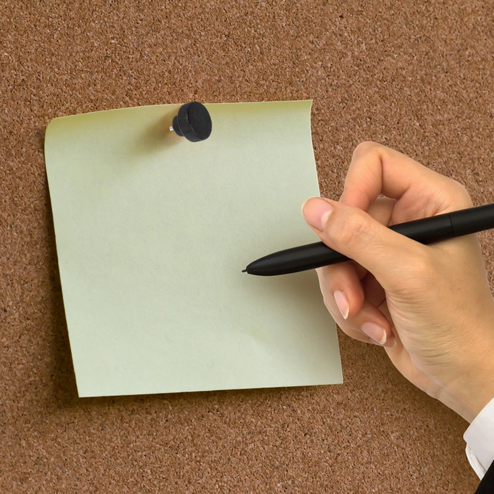 100개 플랫 헤드 나무 푸시핀 장 압정 코르크보드 포스터 사진 달력 사무용품 나무 압정