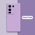 Grass Purple
