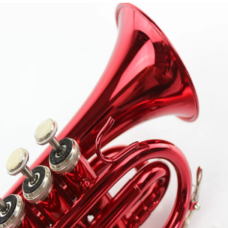 Learn Western Wind Instrument, B Flat Pocket, Red Palm Instrument
