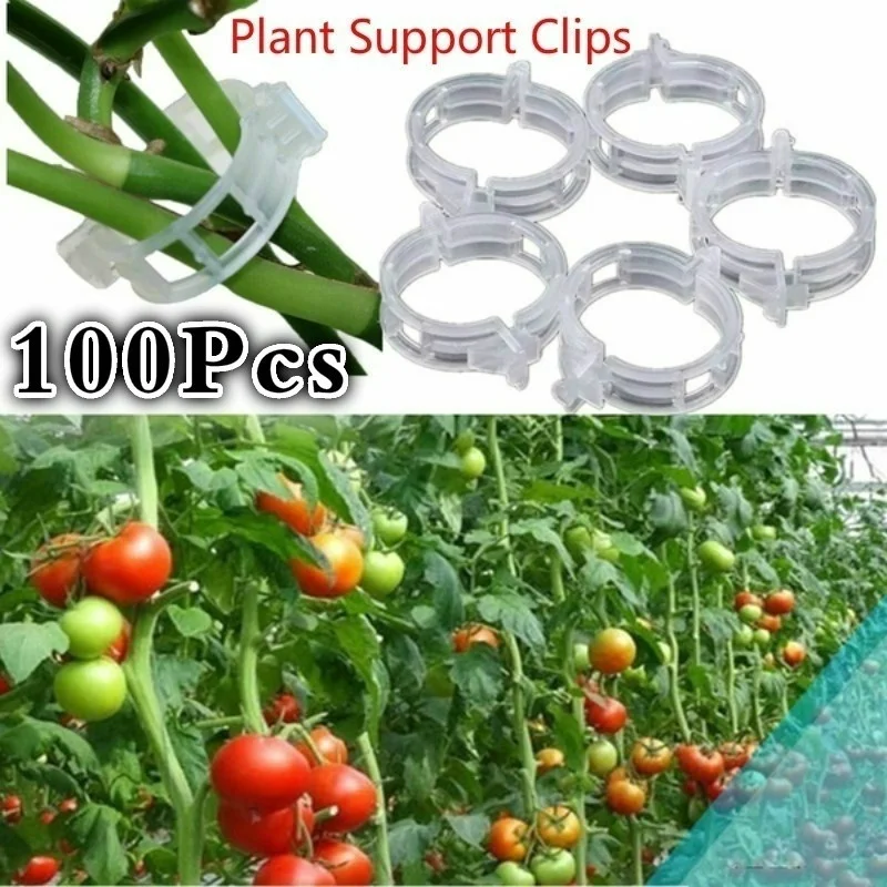 

100Pcs Durable Clear Plant Support Clips Plastic Plants Hanging Plant Shelves for 23mm Vine Garden Vegetables
