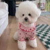 Strawberry Small Dog Clothes Summer Breathable Clothing for Cat Cute Dog Clothing for Small Dog Vest Ruffled Collar Pet Clothes 4