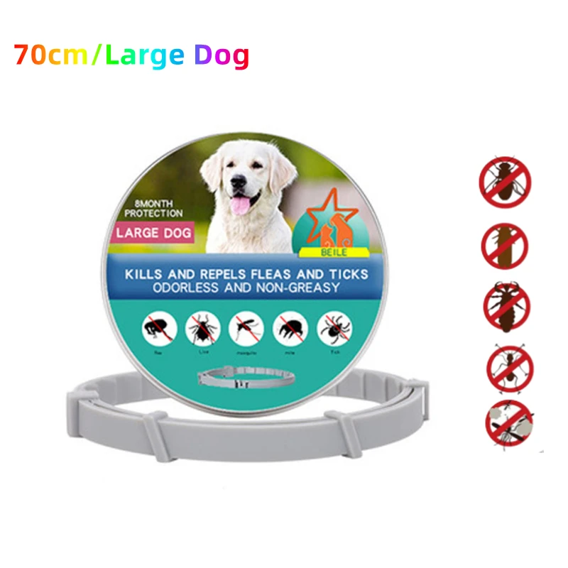 70cmLargeDogWith Box
