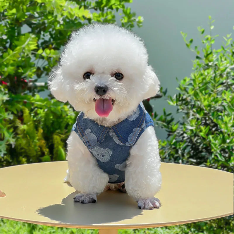 2026 New Trendy Denim Jean Dog Harness And Collar Set, Cute Blue Washed Vest With Matching Leash, Puppy Coat For Winter Autumn,_voghion.com