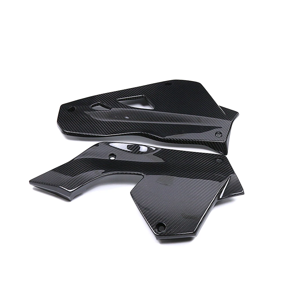 Motorcycle 3K Carbon Fiber For BMW S1000XR 2020-2024 Lower