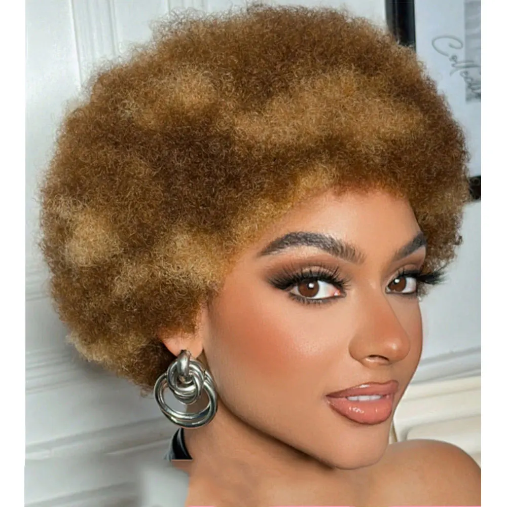 Afro Kinky Curly Highlight Wig Human Hair Ombre Brown Blonde Kinky 