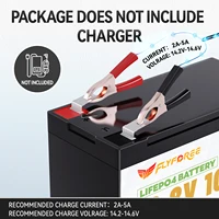 Batterie au Lithium LiFePO4 12V 10AH avec BMS 4000 + Cycles profonds batterie au Lithium Rechargeable pour détecteur de poisson lumière enfants voiture Camping 6