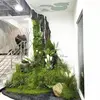 20g/bag Simulation vine model grass microlandscape material Artificial moss fo garden accessories suitable fo lawn decoration 5