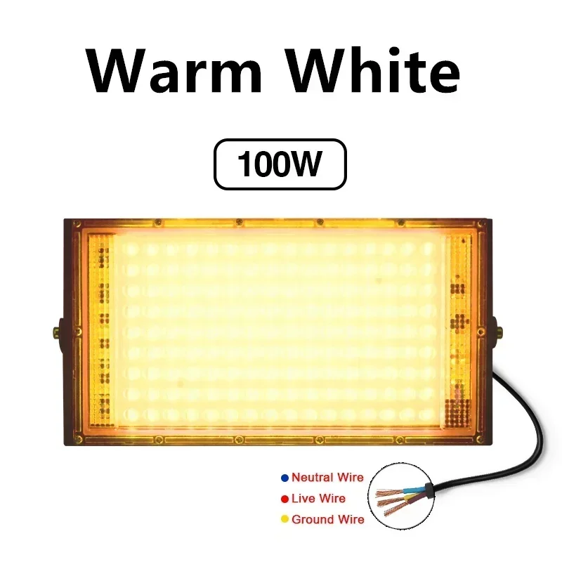 100W No Plug WW