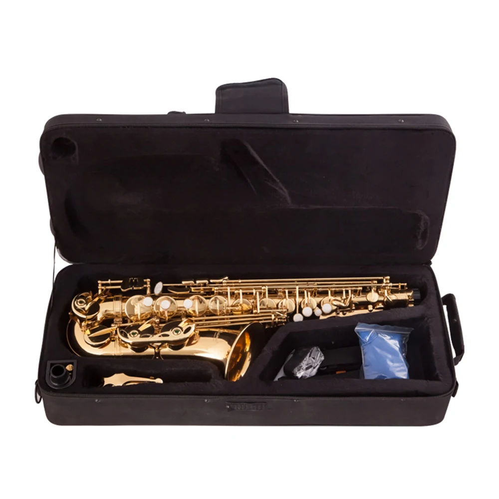 Eb Alto Saxophone - Gold Lacquer, Case & Accessories