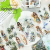 2m Beach Lady PET Washi Tape Sea wave Transparent Roll Stickers Decorative Adhesive Tape For Scrapbooking Journal  loop 100cm 2