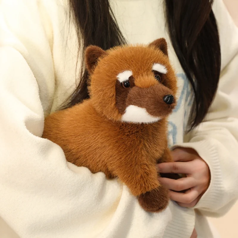 Hot 1pc 50cm Realistic Raccoon Stuffed Animal Doll Cute Simulation Handmade High Quality Kids Ornament Lovely Toy Gift