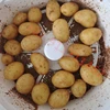 110V/220V Small Electric Potato Peeler Home Automatic Potato Peeling Machine Vegetables Salad Rotating Dehydrator 5