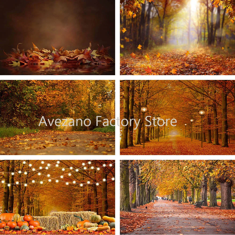 

Осенний фон кленовые листья природный пейзаж светильник лый лес дети портрет Декор фотография Фон Фотостудия фотосессия