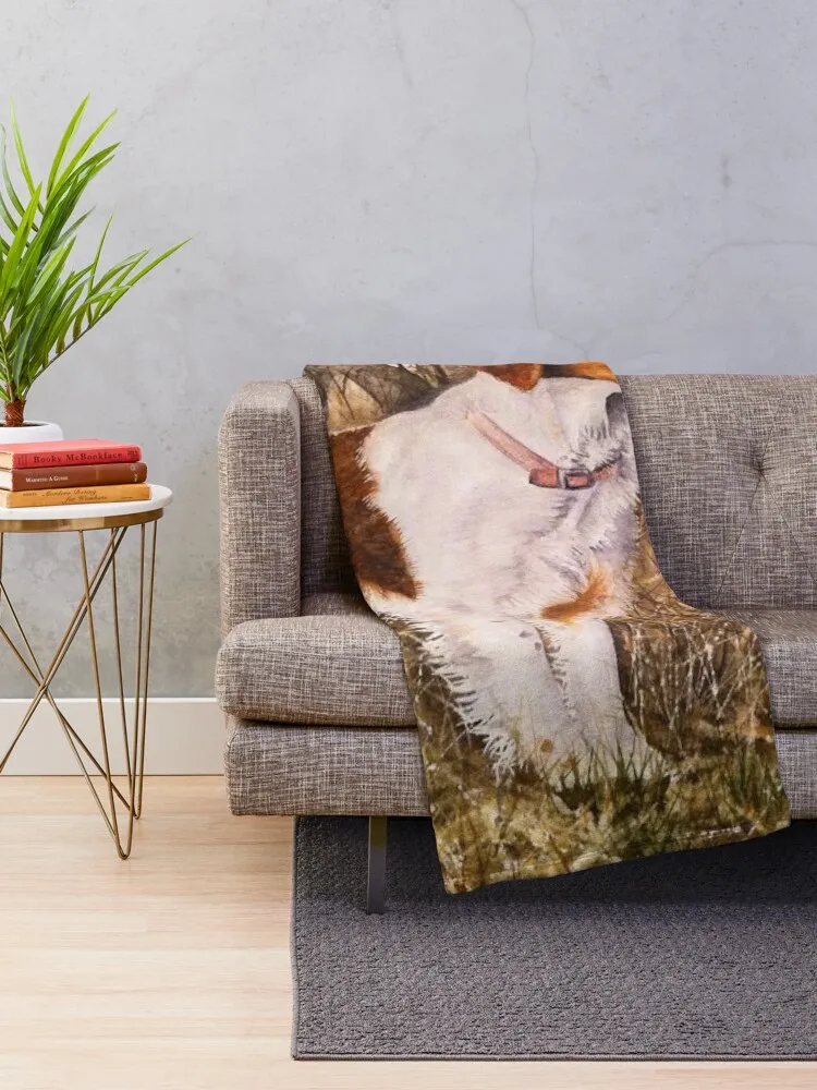 �긮Ÿ�� ���дϾ� ���ο� ���, ǫ���� ħ�� ����, ���Ÿ� ���� ���