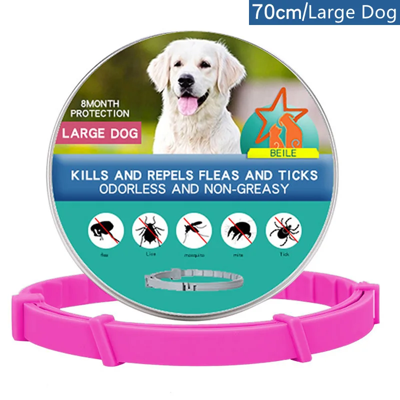 Large Dog-70cm Box P