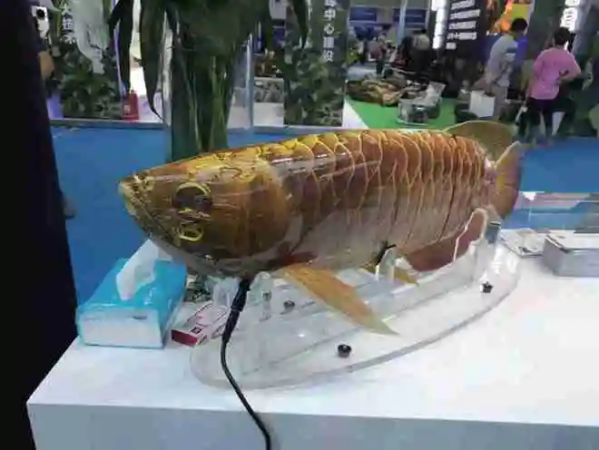 Рисунок 2 - Robosea мульти-совместный автономный