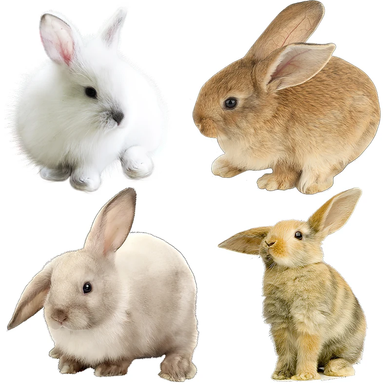 Three Ratels CP4 Cute bunny animal cartoon sticker Bedroom wall sticker Toilet decal waterproof self-adhesive