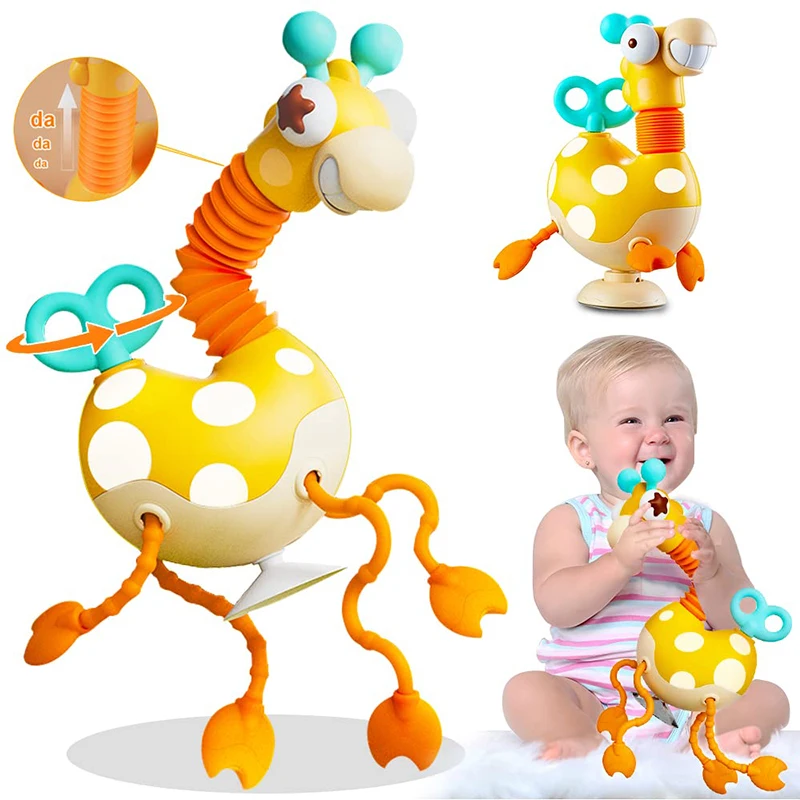 Acheter Jouets Montessori pour bébé de 18 mois, jouets sensoriels pour  tout-petits, jouets pour nourrissons de 1 à 2 ans, garçon et fille, cadeaux  d'anniversaire, activité de traction, motricité