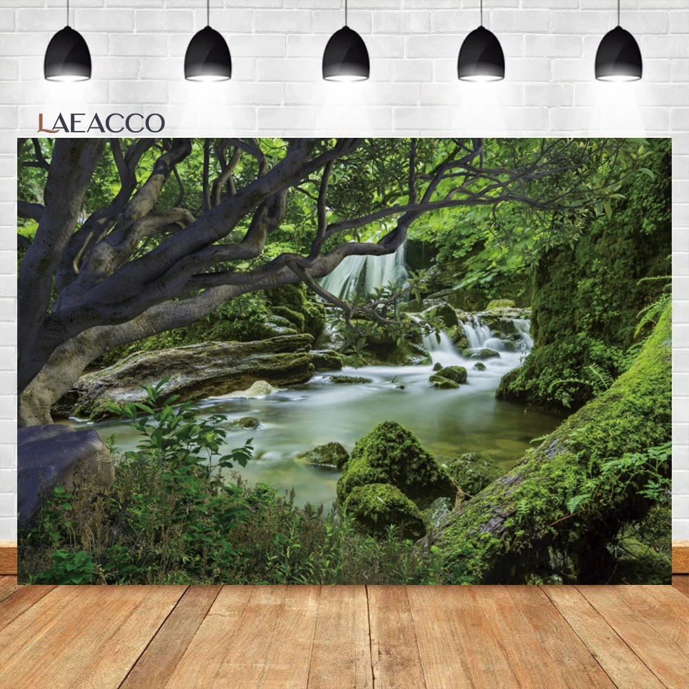 Laeacco     ö,   , Ĺ ڿ ǳ,   ʻȭ 