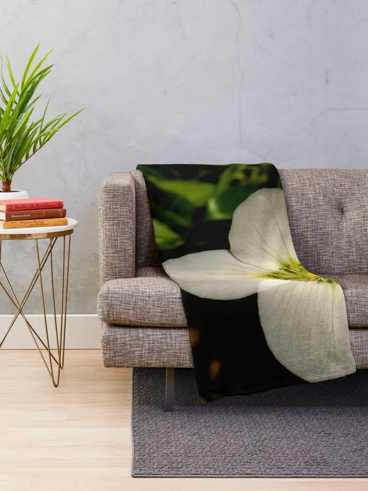 �� �ε巯�� ���� ���� ���� ���, ũ�������� ����, sqr ������ ���, ���� ���, �̵� ���