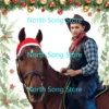 15Pcs Christmas Horse Accessory Includes Christmas Horse Leg Wraps  and Christmas Santa Hat Horse Cap for Holiday Christmas 6