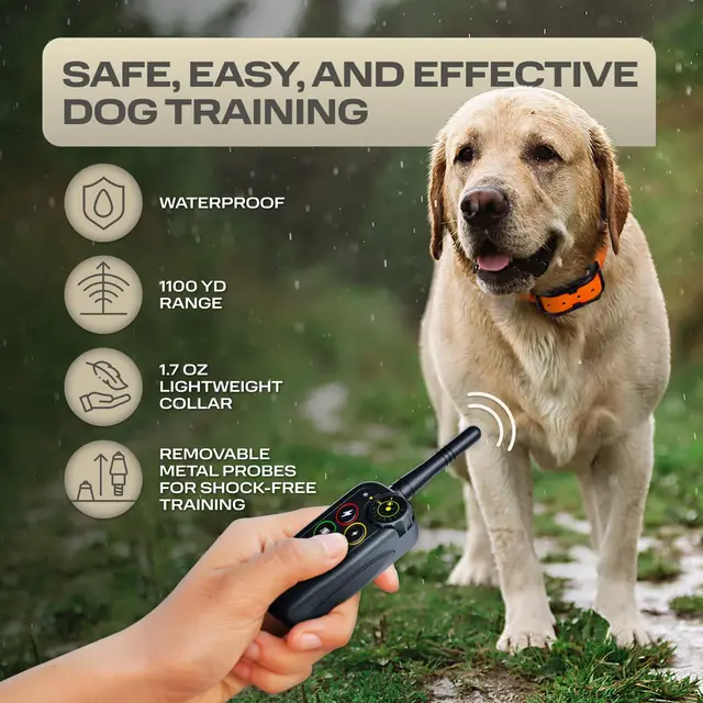 Antibellhalsband Für Hunde Hunde-Erziehungshalsband Mit Fernbedienung –  1000m Reichweite, Ton, Vibration, Strom Anti Bell Gerät Hunde
