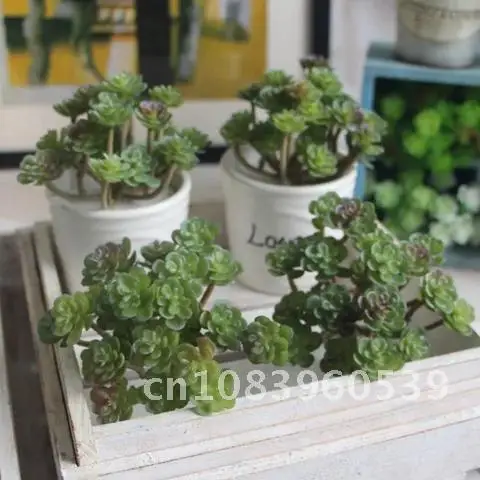 

Artificial Mini Office Green Plant Fleshy Garden Decor Wonderful artificial potted succulents flowers