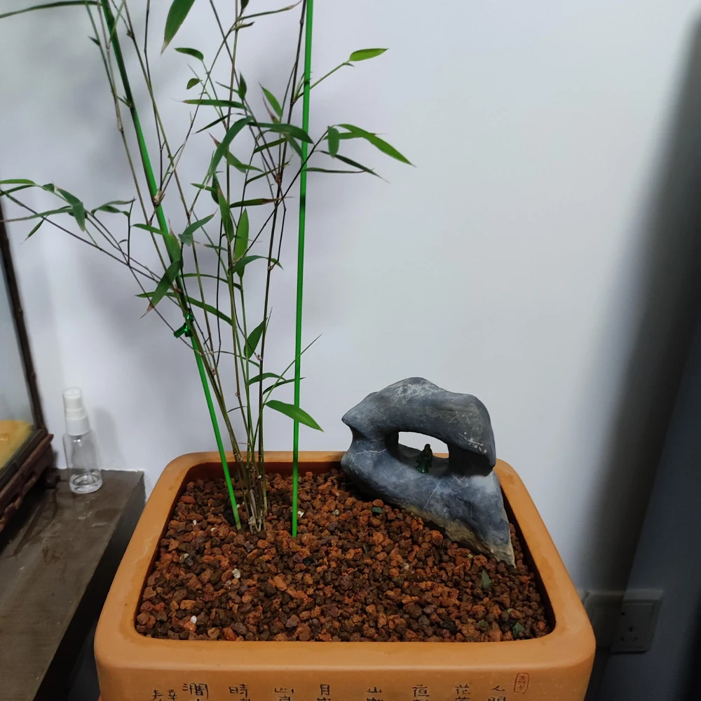 Volcanic Stone Gardening Bonsai Decoration Materials Create Ecological Environment 100g 10~20mm decorative stones